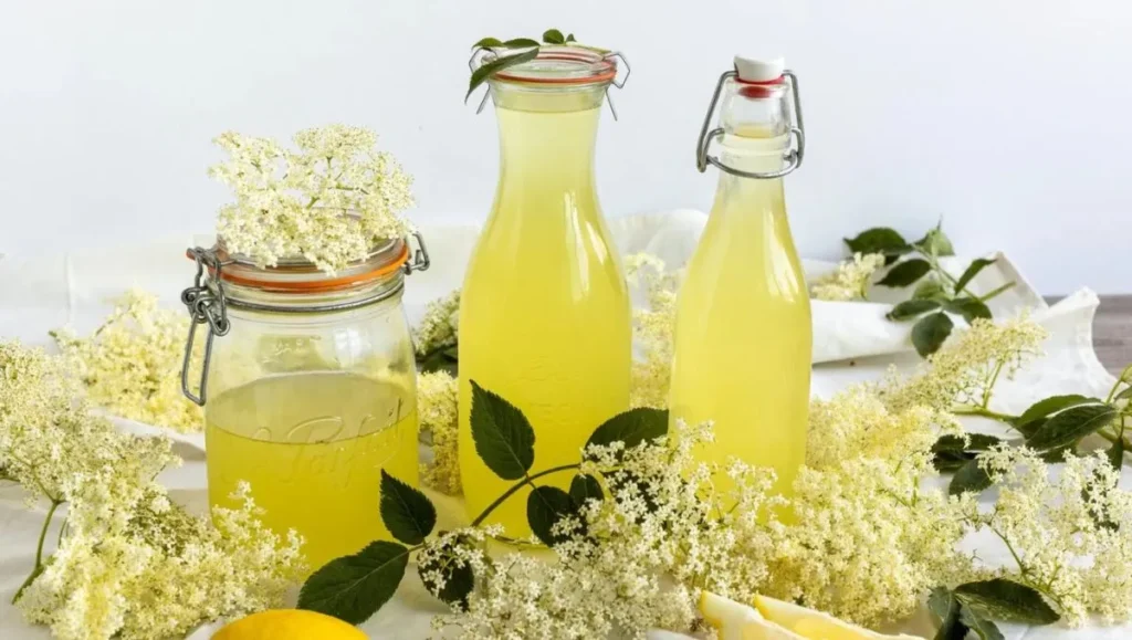 elderflower cordial recipe